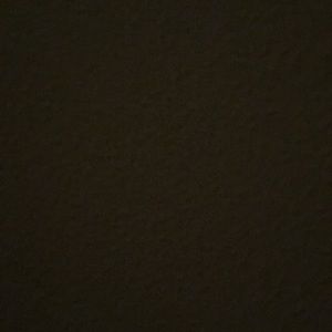 Meet your Posher, Lois